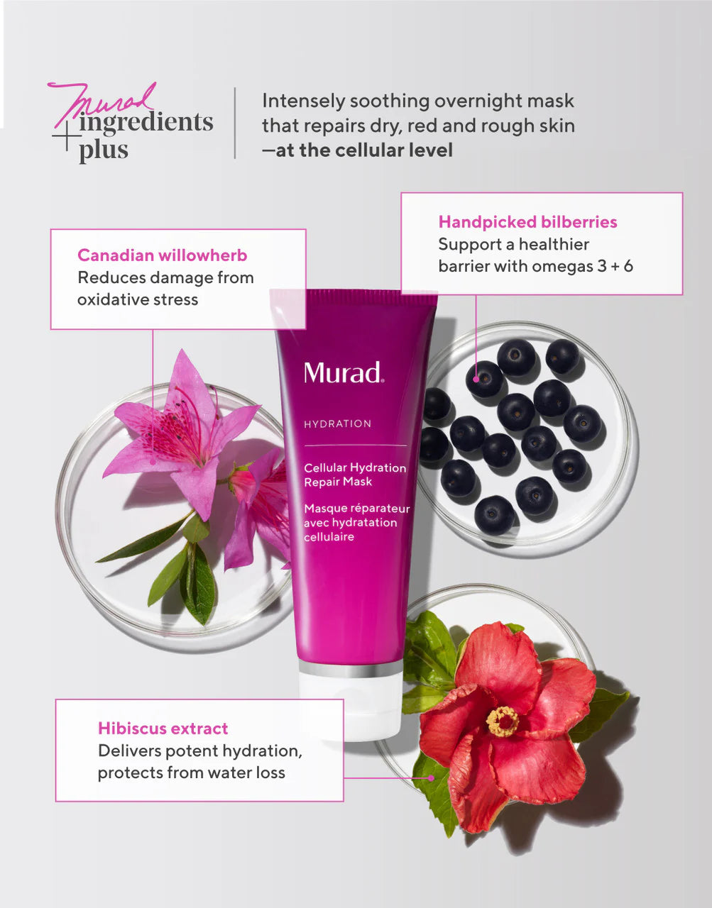 Murad Sale. Murad Cellular Hydration Repair Mask is suitable for most skin types. Murad Cellular Hydration Repair Mask contains Refined Bilberry Seed Oil, Omega 3, Omega 6, Hibiscus Extract and Canadian Willowherb.